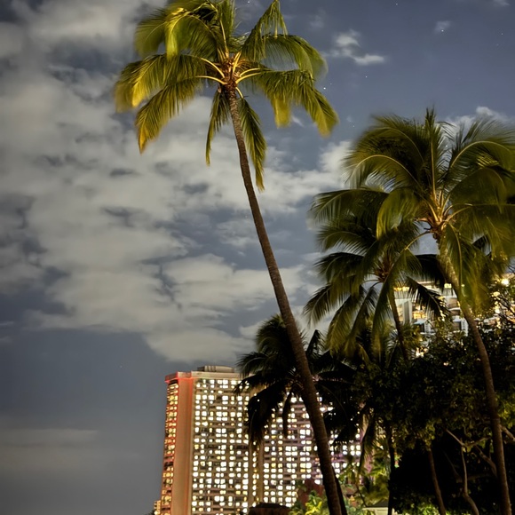 Meet your Posher, Anne - Picture 1 of 1